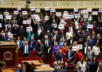 France Adopts New Immigration Law Amidst Macron Party Tensions