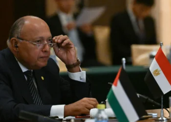 Egypt Proposes Ambitious Ceasefire Plan for Israel-Gaza Conflict