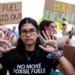 Cop28 Access: Climate Deniers and Fossil Fuel Advocates Under Scrutiny
