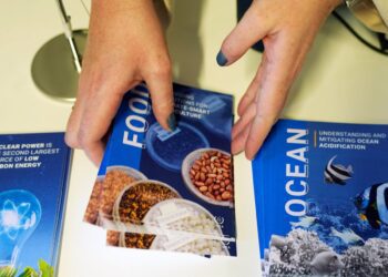 Feast of Progress: COP28 Dishes Out Real Solutions for Agriculture and Climate Change