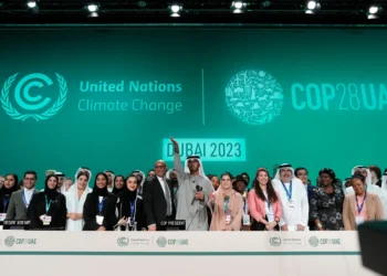 COP28 Dubai is Over: Four Key Highlights from the UN Climate Summit