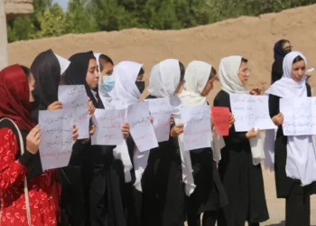 Veiled Rebellion: Afghan Women’s Secret Pursuit of Medical Education Amid Taliban Restrictions