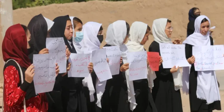 Veiled Rebellion: Afghan Women’s Secret Pursuit of Medical Education Amid Taliban Restrictions