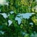 Cop28 Draft Climate Deal Sparks Controversy: Critics Decry it as ‘Grossly Insufficient’ and ‘Incoherent’