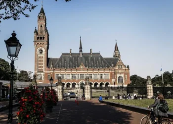 United Nations Examines South Africa’s Allegations of Genocide against Israel