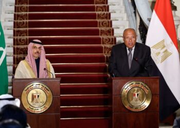 Saudi and Egyptian Foreign Ministers Advocate for Ceasefire in Gaza