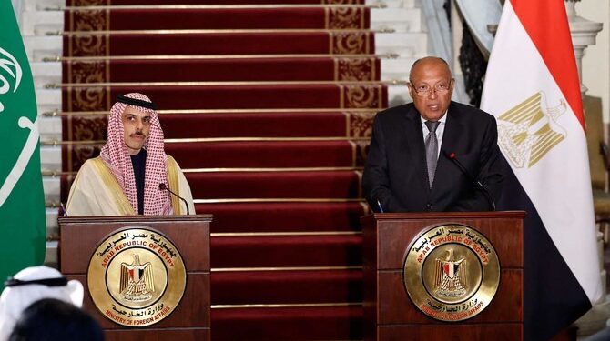 Saudi and Egyptian Foreign Ministers Advocate for Ceasefire in Gaza