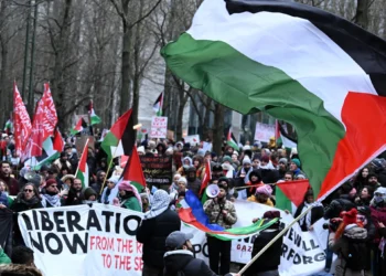 Belgium Stands Firm: Support for ICJ Verdict on Gaza ‘Genocide’