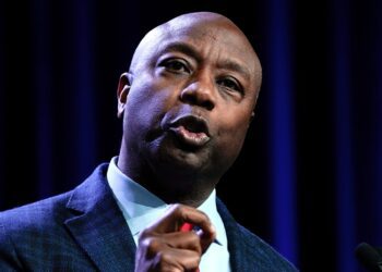 Senator Tim Scott Backs Trump in New Hampshire