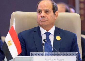 President Sisi commitment to Somalia Security