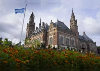 Understanding the Genocide Case Against Israel at the International Court of Justice