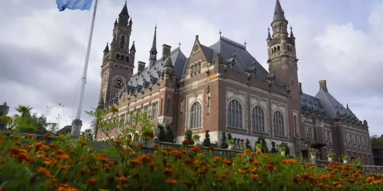 Understanding the Genocide Case Against Israel at the International Court of Justice