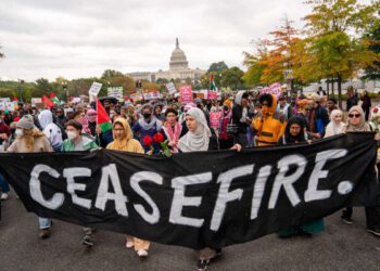 US Pushes for Ceasefire in Gaza Crisis: Urges Israel to Halt Rafah Offensive