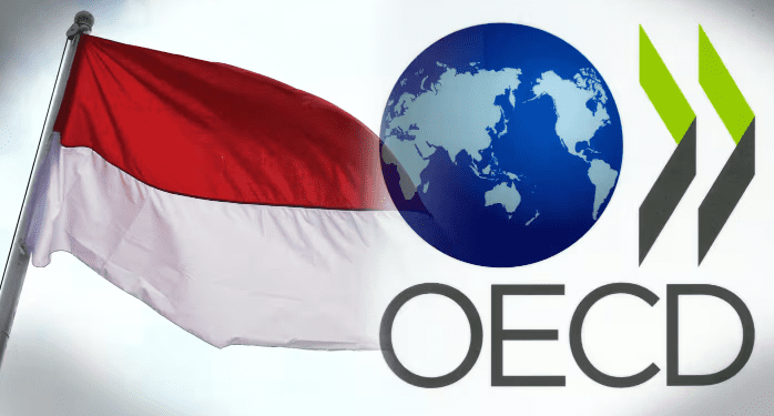 Indonesia Pursues OECD Membership in 2 to 3 years