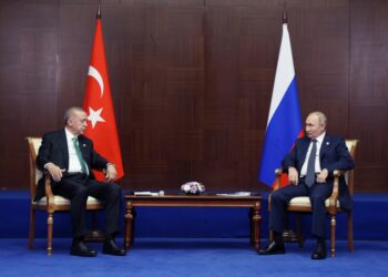 Russia’s Putin to Visit NATO Ally Turkey on Feb 12