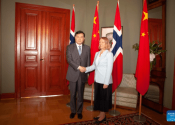 China and Norway Forge Stronger Ties in 2024 Diplomatic Meetings