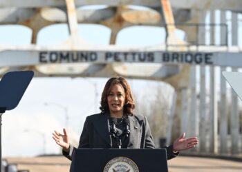 US Vice President Kamala Harris Urges Immediate Ceasefire in Gaza, Criticizes Israeli Policies