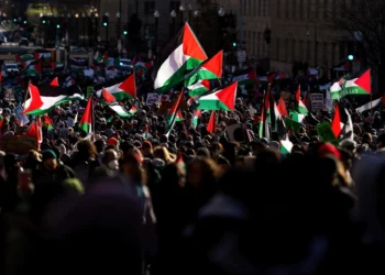 Countries that Recognize Palestine 2024
