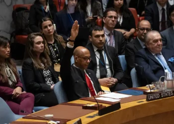 ‘How does UN recognition harm peace?’, asks Palestinian UN rep
