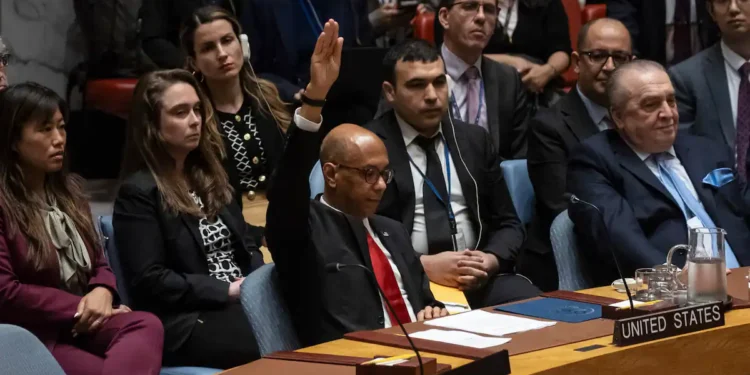 ‘How does UN recognition harm peace?’, asks Palestinian UN rep