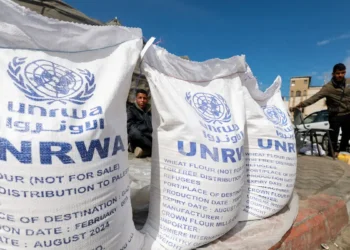 Humanitarian Crisis in Gaza; UNRWA Suspends Food Distribution