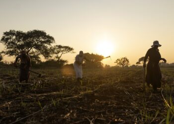 Drowning in Debt: How Climate-Afflicted Nations Struggle to Stay Afloat
