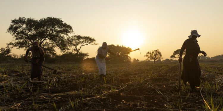 Drowning in Debt: How Climate-Afflicted Nations Struggle to Stay Afloat