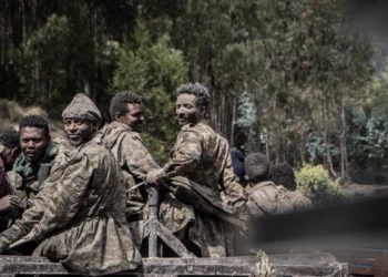 Compelling Evidence of Genocide in Tigray War, Report Alleges