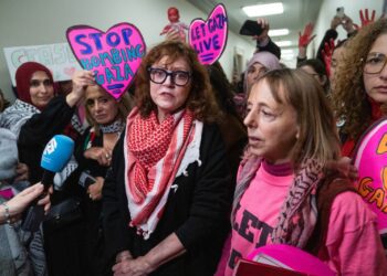 Susan Sarandon Protests Against Netanyahu's Congress Address