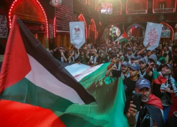 Millions Gather for Arbaeen in Iraq, Show Solidarity with Gaza