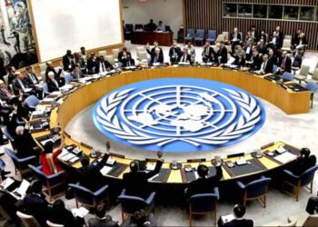 Officials at UN Security Council push for a permanent seat for Africa