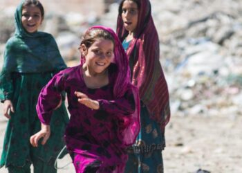 Afghan Refugees' Voices in US Election: A Call for Recognition and Action