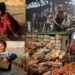 The Crisis of Child Labour in Pakistan
