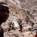 DRC accuses Apple of using illegally exploited minerals