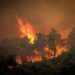 Deadly Wildfires Ravage Central Greece, Claiming Lives Amid Climate Crisis