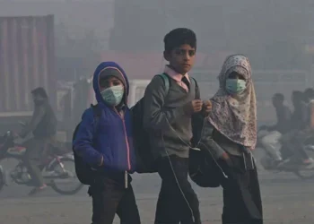 UAE Offers Support to Pakistan to Minimize Smog Impact