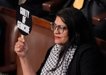 Rashida Tlaib Reelected to US House, Continues Advocacy for Palestinian Rights