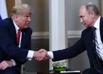 Putin Congratulates Trump on Election Win, Signals Readiness for Dialogue