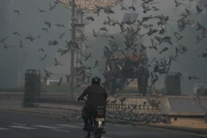 Hazardous Air in Pakistan: Lahore's Record Pollution Forces Schools to Close