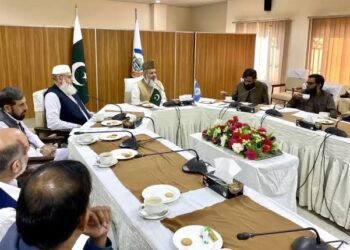 Council of Islamic Ideology Chairman Declares VPN Usage Un-Islamic, Urges Government Action