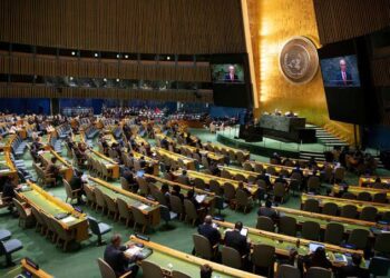 UN Sixth Committee Decides to Move Draft Crimes Against Humanity Treaty to Negotiations