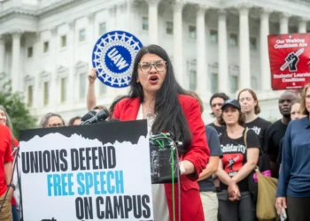 Rashida Tlaib Declines to Endorse Kamala Harris Amid Gaza Conflict