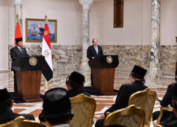 Egyptian and Indonesian Presidents Discuss Gaza, Syria, and Lebanon in Cairo Talks