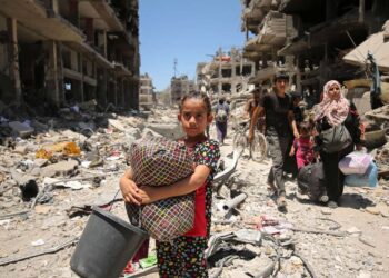 A Brief Account of Humanitarian Causalities in Gaza