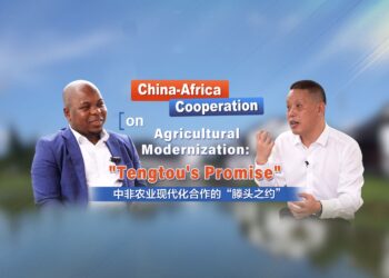 China-Africa Cooperation on Agricultural Modernization: “Tengtou’s Promise”