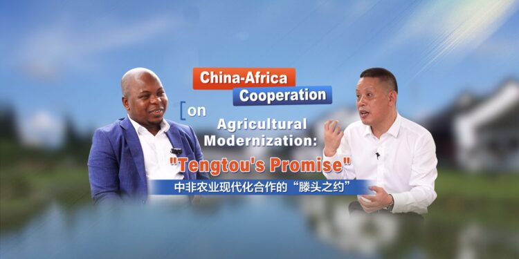 China-Africa Cooperation on Agricultural Modernization: “Tengtou’s Promise”