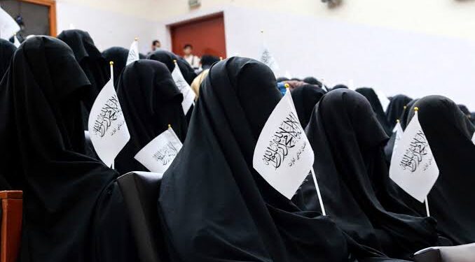 Taliban Bans Afghan Women from Nursing and Midwifery Education, Deepening Healthcare Crisis