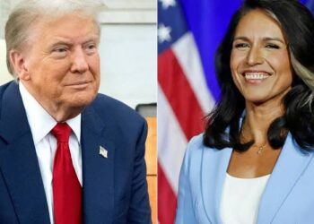 Donald Trump Appoints Tulsi Gabbard as Director of National Intelligence