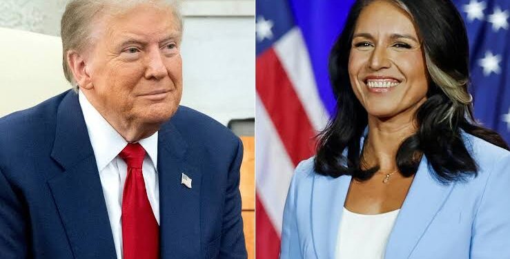 Donald Trump Appoints Tulsi Gabbard as Director of National Intelligence