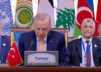 Erdogan Calls for Global Unity and Justice and Rebuilding Syria at D-8 Summit 